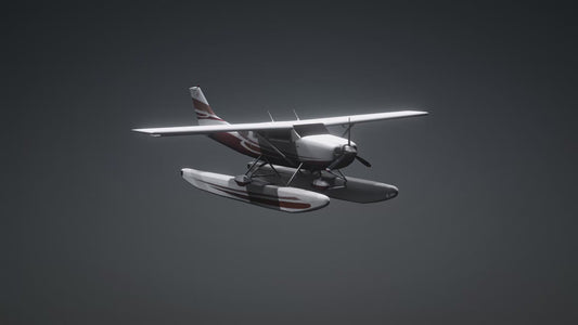 Cessna 206